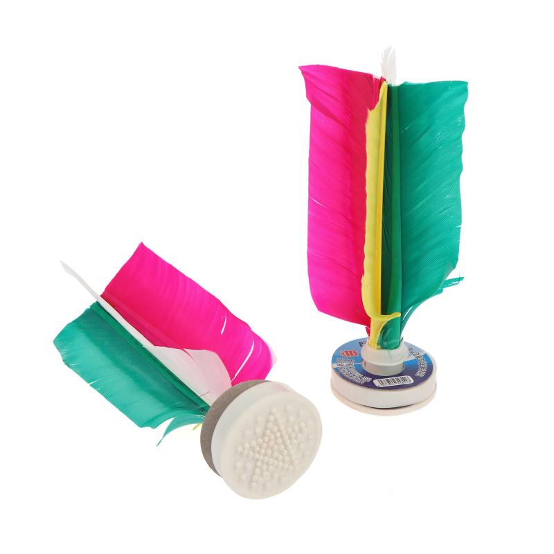 New 6 Pcs Game Shuttlecock Tra - Feather Shuttlecock 评论和价格