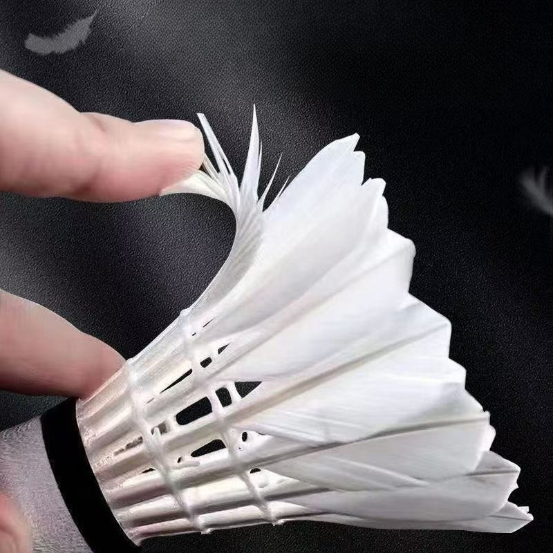 Premium Goose Feather Badminto - Feather Shuttlecock 评论和价格