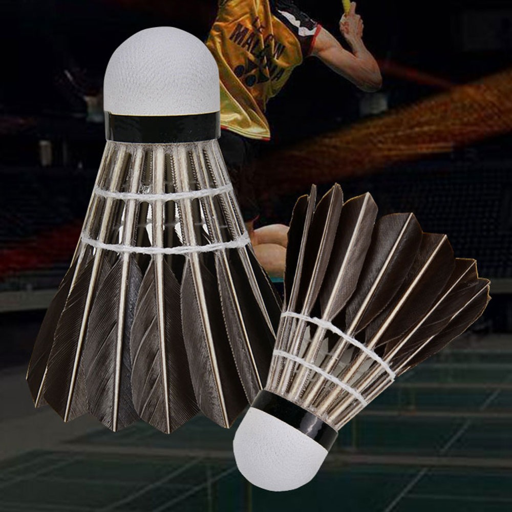 3/6/12Pcs Accessories Stable S - Feather Shuttlecock 评论和价格